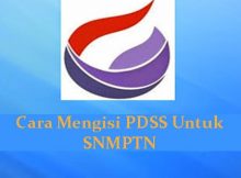 Cara Mengisi PDSS Untuk SNMPTN